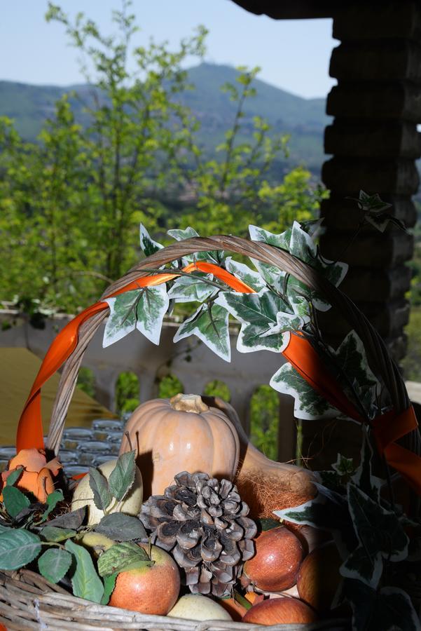 Borgo Della Molara Grottaferrata Bagian luar foto