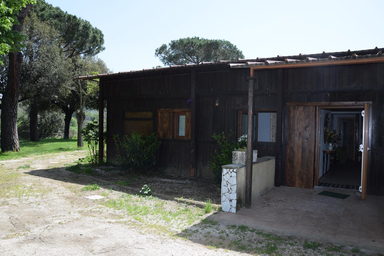 Borgo Della Molara Grottaferrata Bagian luar foto